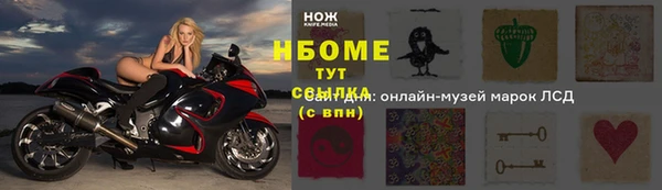 индика Алагир